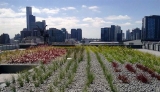 Rooftop gardens